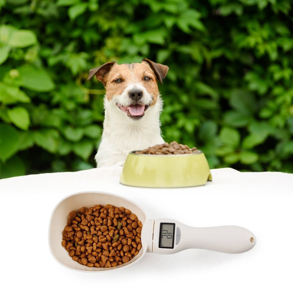 Dog and cat feeding spoon LCD electronic precision weighing tool digital display kitchen scale