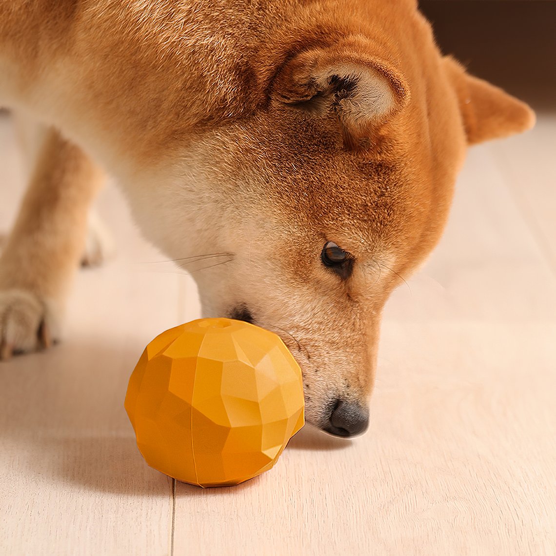 fruit-shaped-chew-toy-that-hides-treats-AyipetsStore-208792