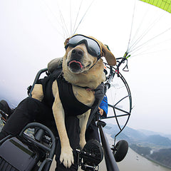 Dog Goggles Sunglasses Anti-UV Sunglasses Eyes Wear protective waterproof and windproof sunglasses