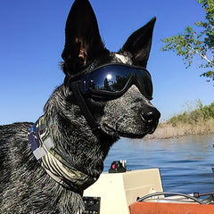 Dog Goggles Sunglasses Anti-UV Sunglasses Eyes Wear protective waterproof and windproof sunglasses