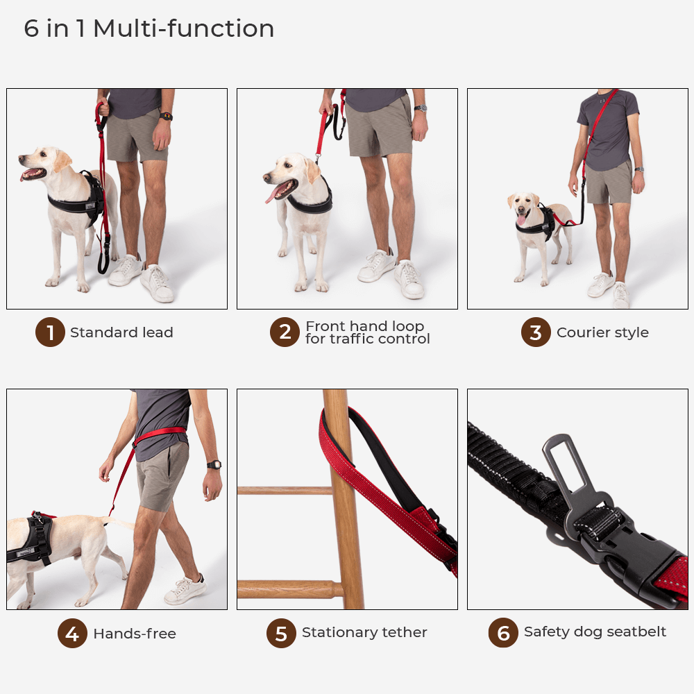 First Class Dog Car Seat Bed With Multifunction Hands Free Dog Leash With Safety Seat Belt