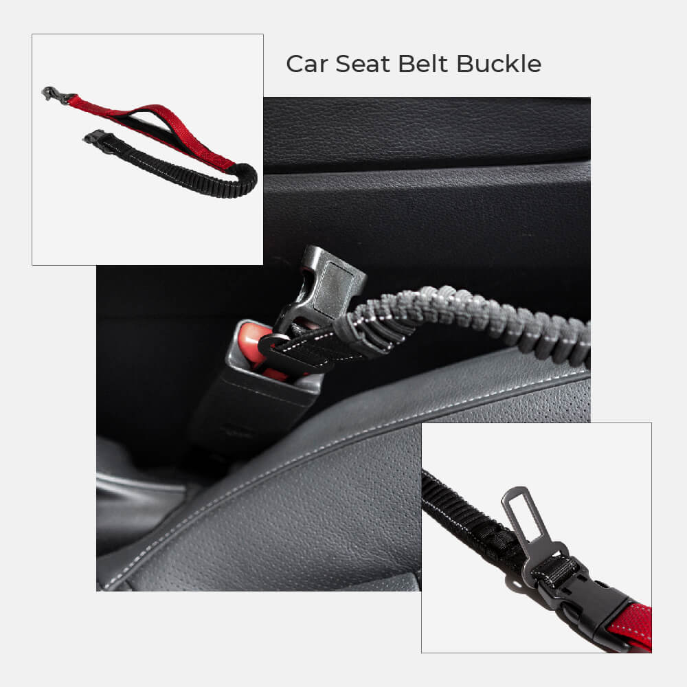 First Class Dog Car Seat Bed With Multifunction Hands Free Dog Leash With Safety Seat Belt