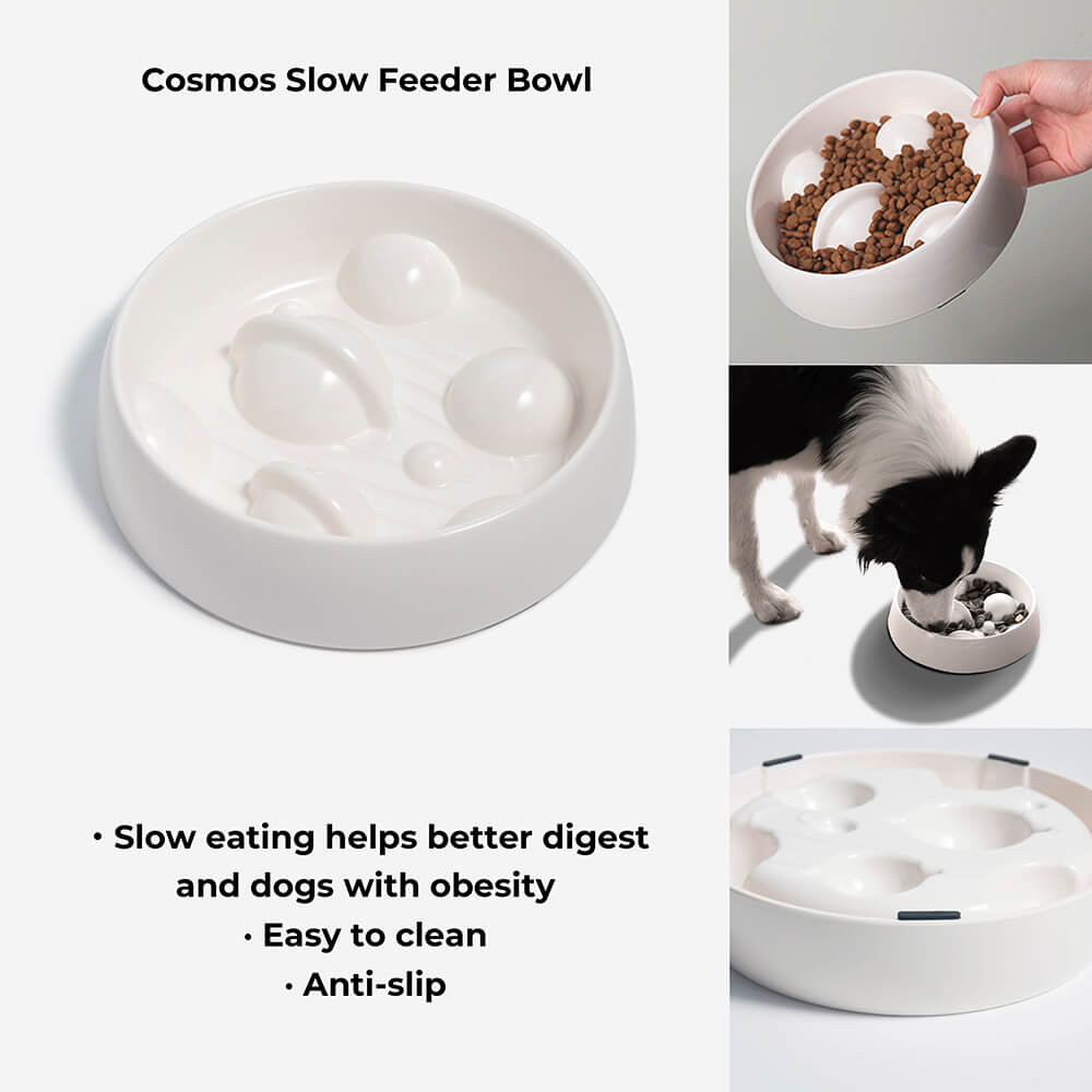 Starry Sky Slow Food Dog Bowl Anti-fall Slow Food Cat Bowl Kit